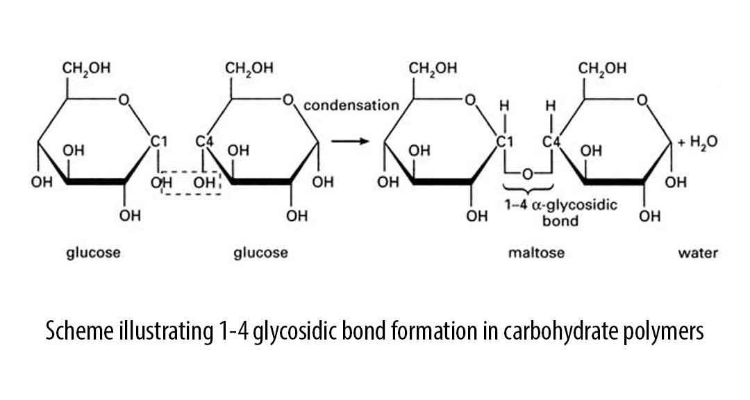 Formulation and Characterization of Metronidazole Suspension Using Gum ...